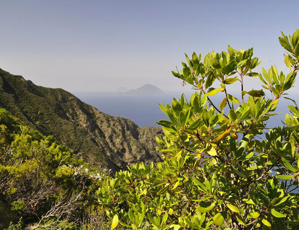 Foti rent Lipari